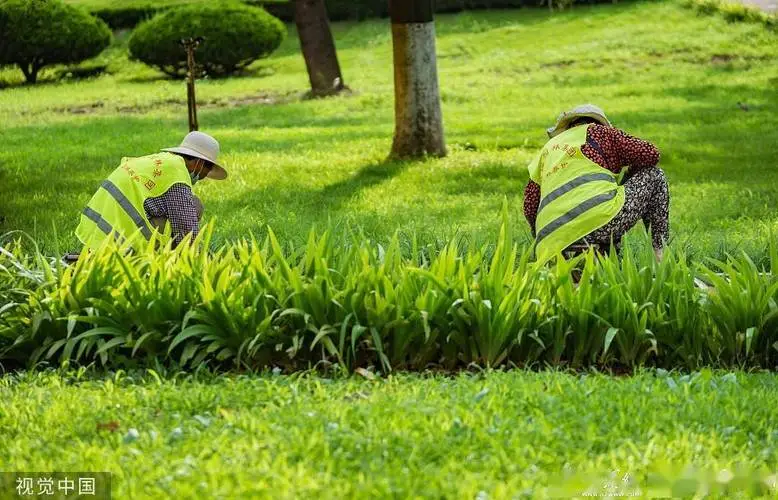 思茅区城市绿化