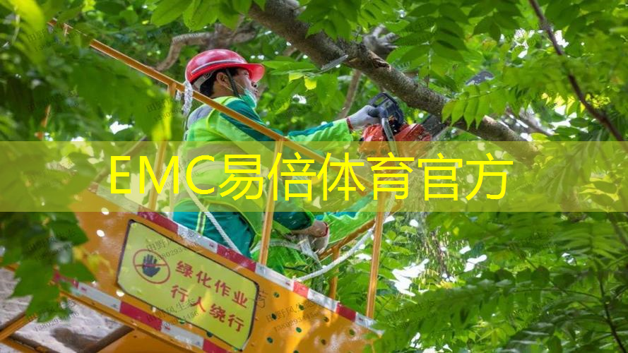 五常城市绿化带种植什么植物比较好